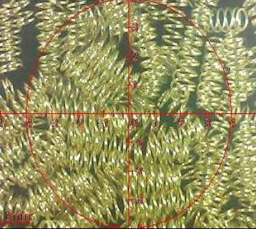 ROHS vedrukattega toote Pogo tihvtide katsearuanne